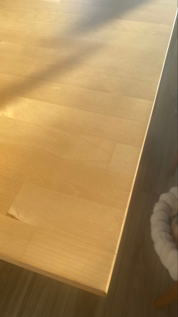 IKEA ノールデン NORDEN 折り畳みダイニングテーブル