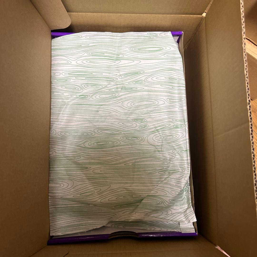 新品未開封Hayley Wilson × Nike SB Dunk LowPro