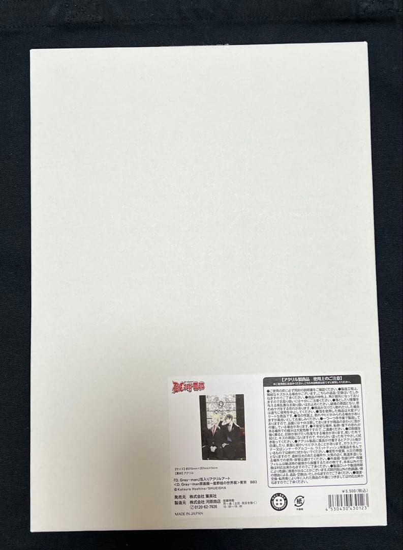 D.Gray-man 箔入りアクリルアート　アレン　ネア 原画展