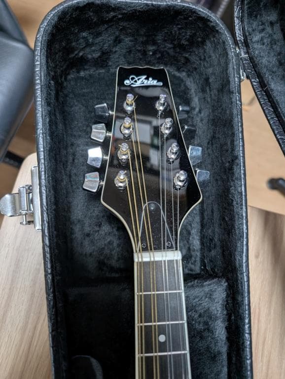 Aria フラットマンドリン AM-20 ハードケース付 美品