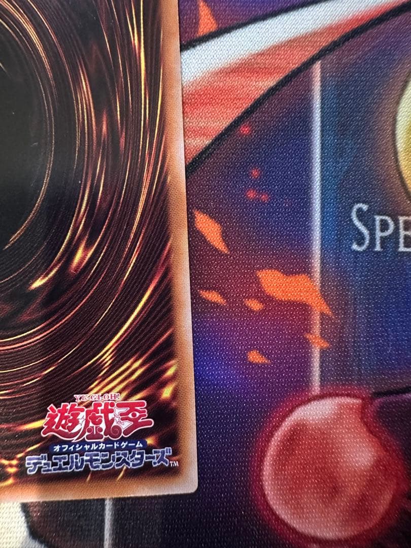 ハーピィの羽根帚　25thシク　絵違い