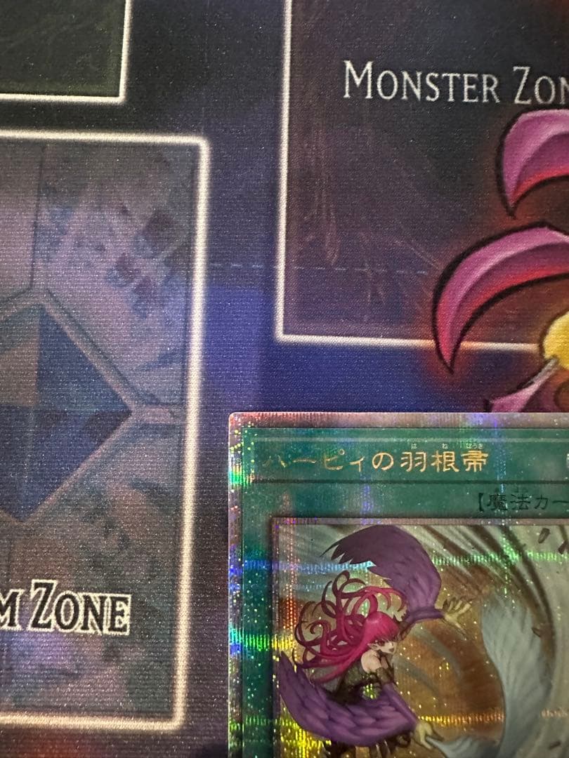 ハーピィの羽根帚　25thシク　絵違い