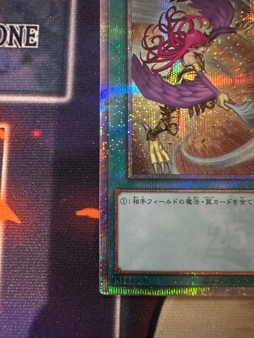 ハーピィの羽根帚　25thシク　絵違い