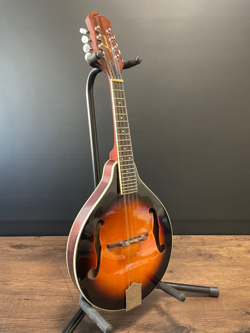 ジェームス James マンドリン JAM300BS ケース付き