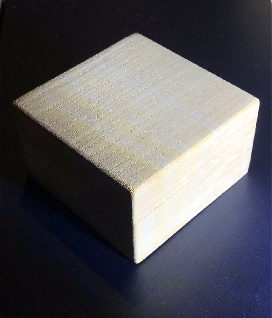 海鳴りさん専用出品 満田晴穂氏作品 自在置物 マイマイカブリ - メルカリ