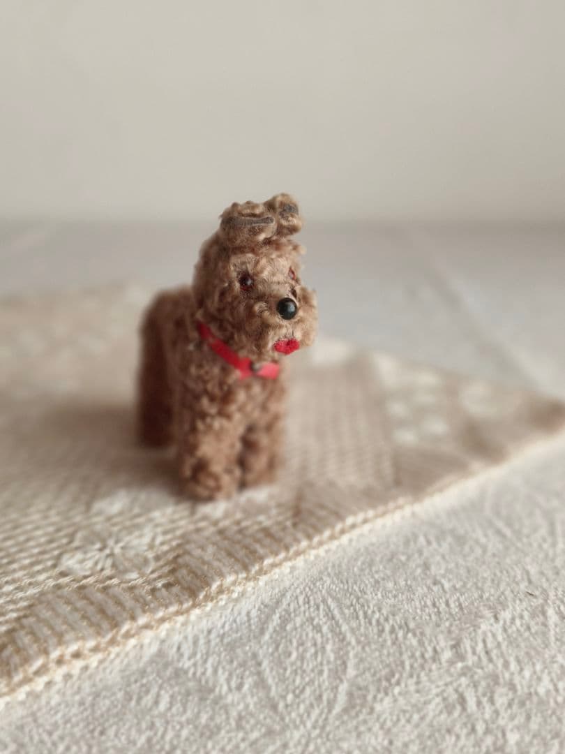 vintage dog ❀ クルクル巻き毛がキュートな ワンちゃん いぬ いさん