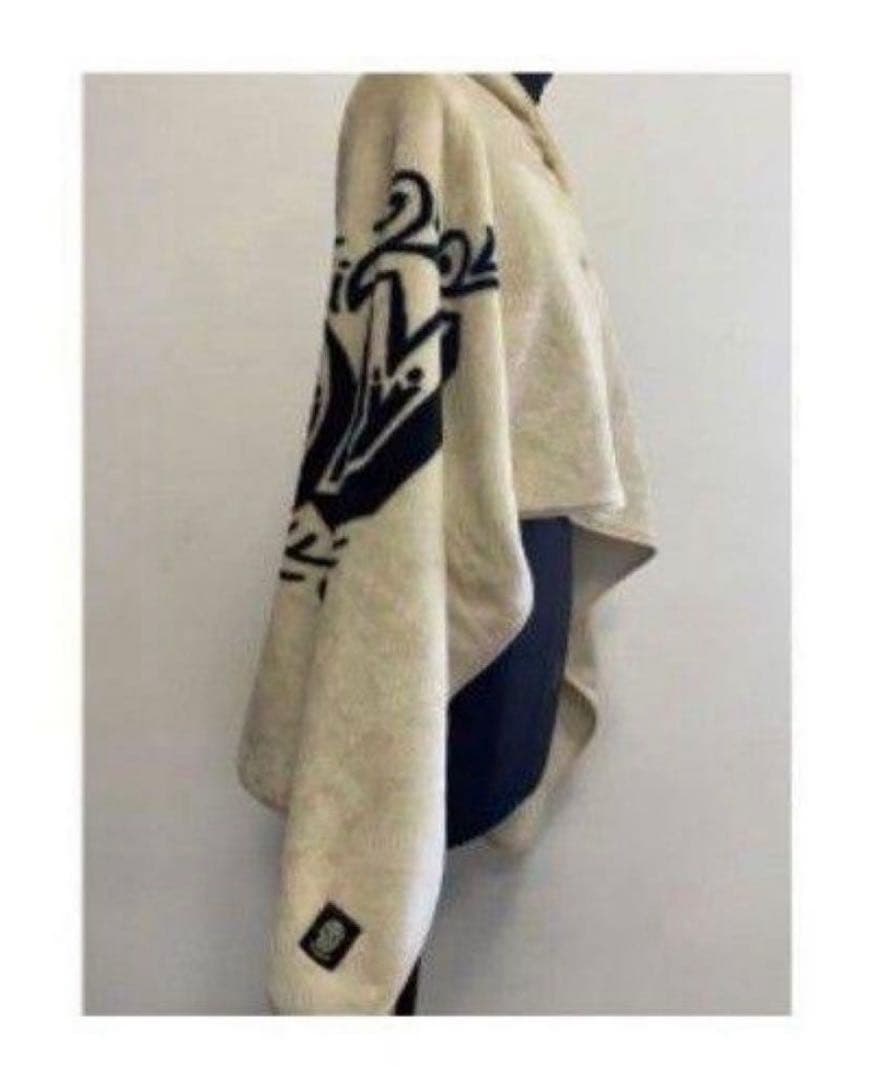 THE BIRTHDAY ポンチョブランケット チバユウスケ ルードギャラリー