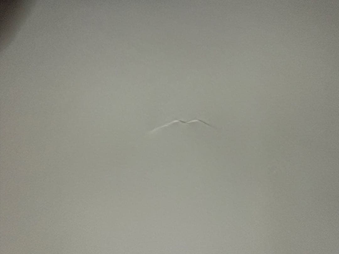 広瀬すずポスター【本人直筆サイン入り】【イベント限定特典】【非売品】在庫1点限り