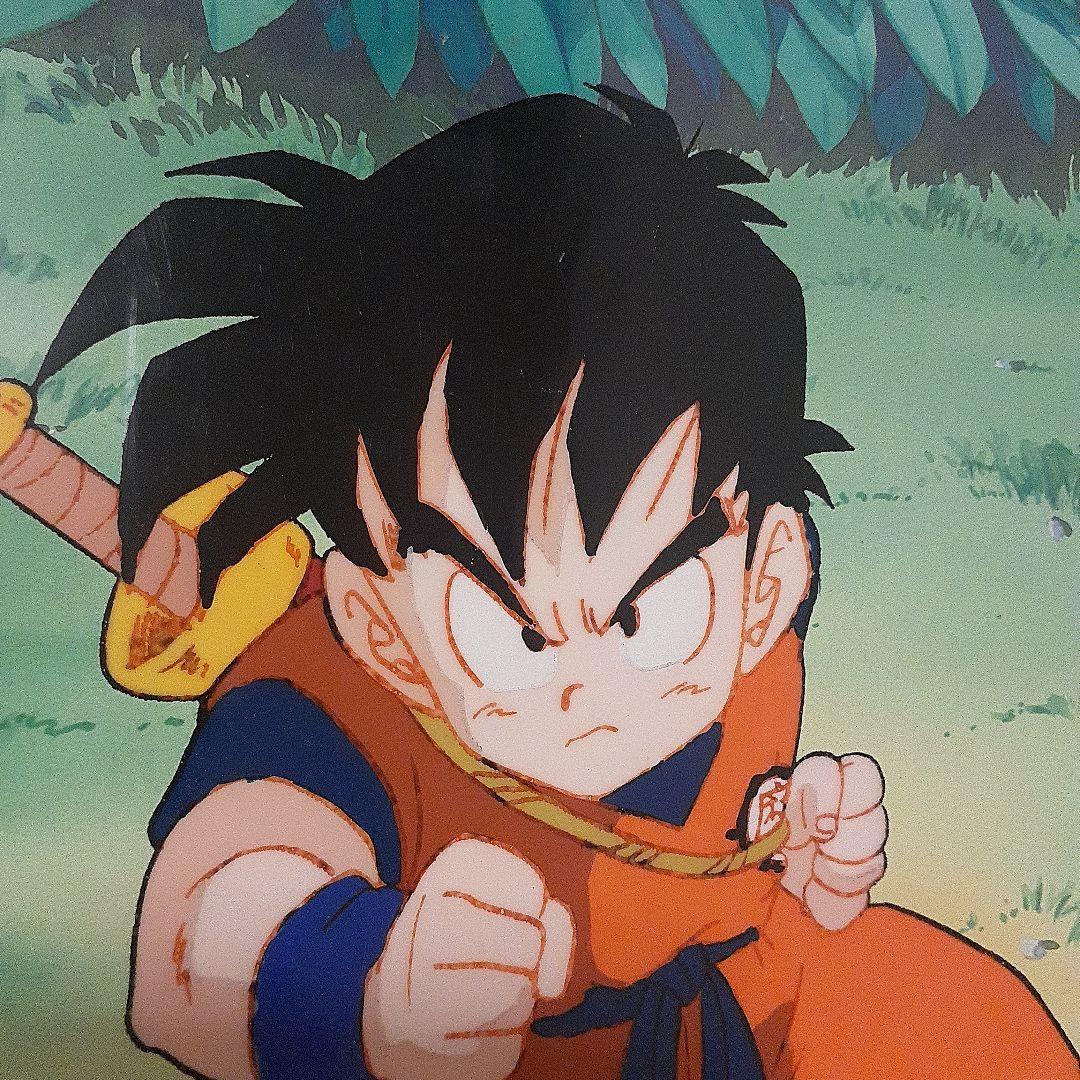 DRAGON BALL　ドラゴンボール　セル画　孫悟飯