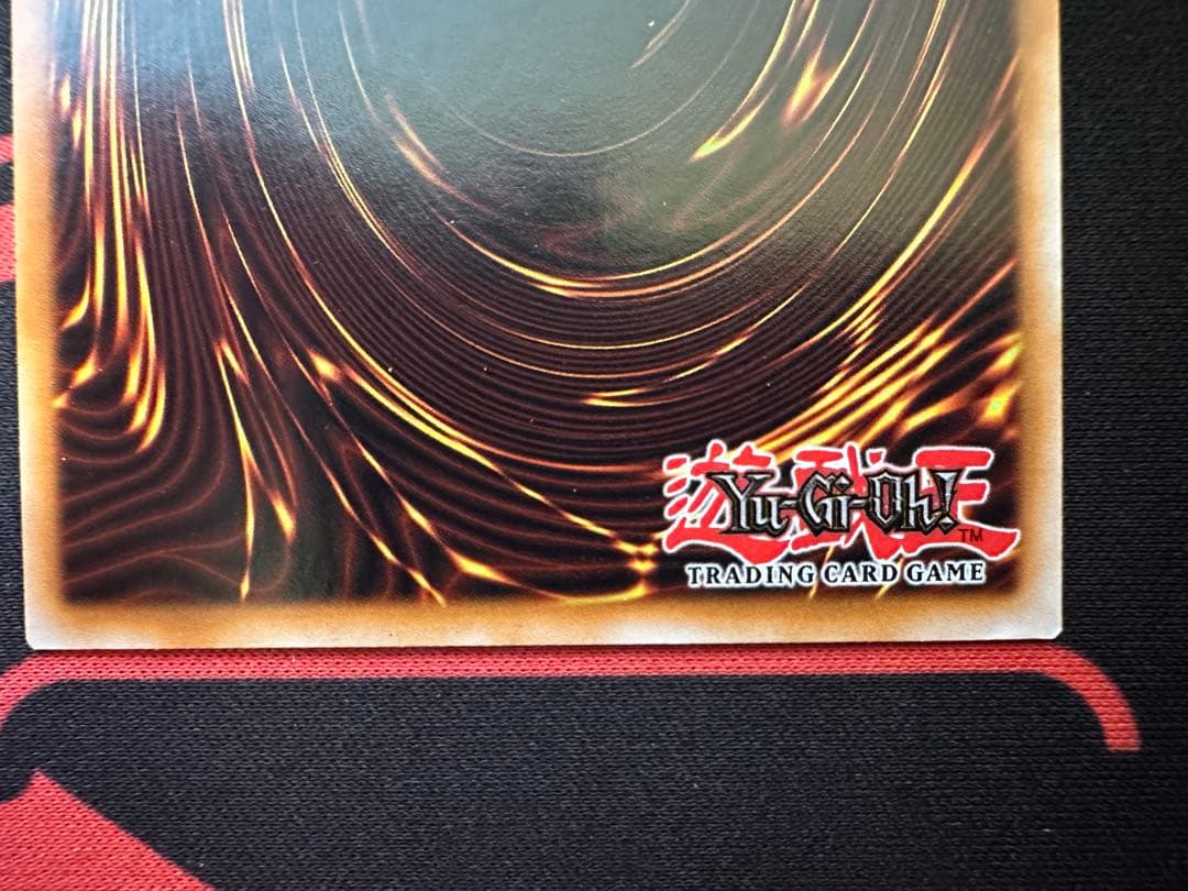 北米版 ブルーアイズホワイトドラゴン 青眼の白龍 レリーフ YSKR-EN001