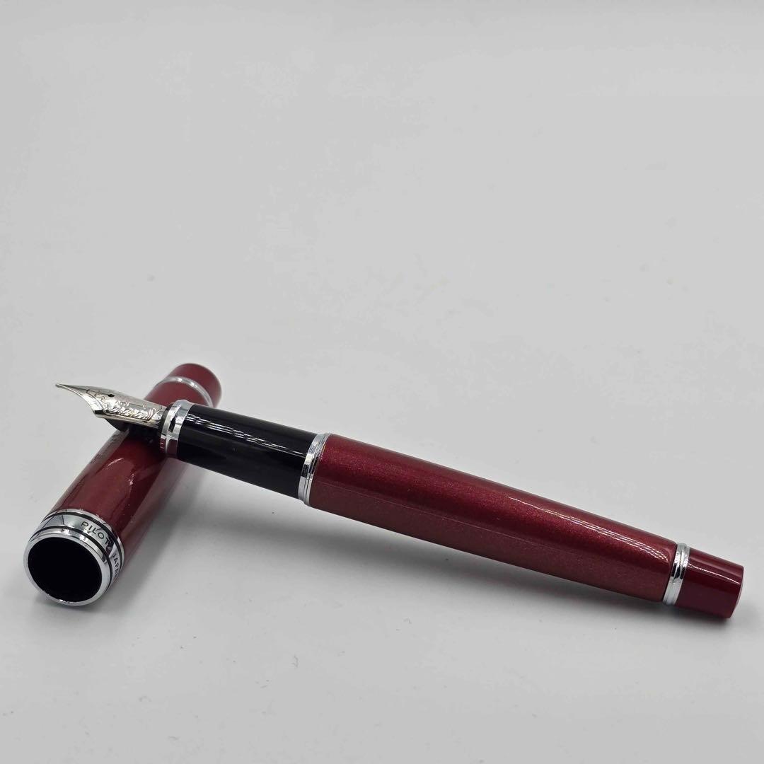 PILOT Stella 90s ルビーレッド 筆記未確認 名前入り 14金