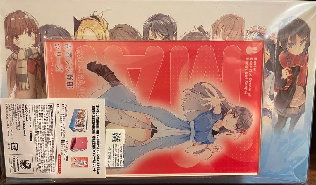 青春ブタ野郎 文庫全巻収納BOX+特装版収納BOX (書籍はありません) 青