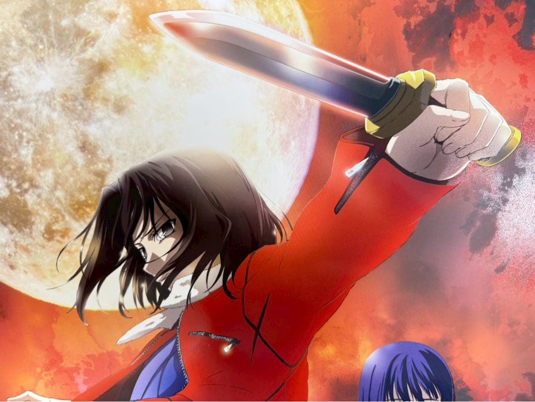 台湾限定 劇場版 空の境界 特典A3特殊加工ポスター 淺上藤乃 両