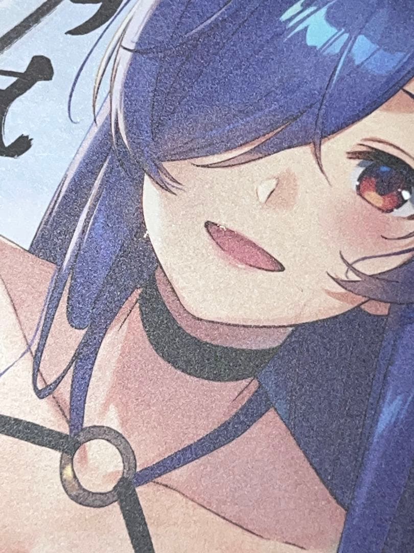 アズールレーン アズレン公式生放送 限定 サイン色紙 お皿