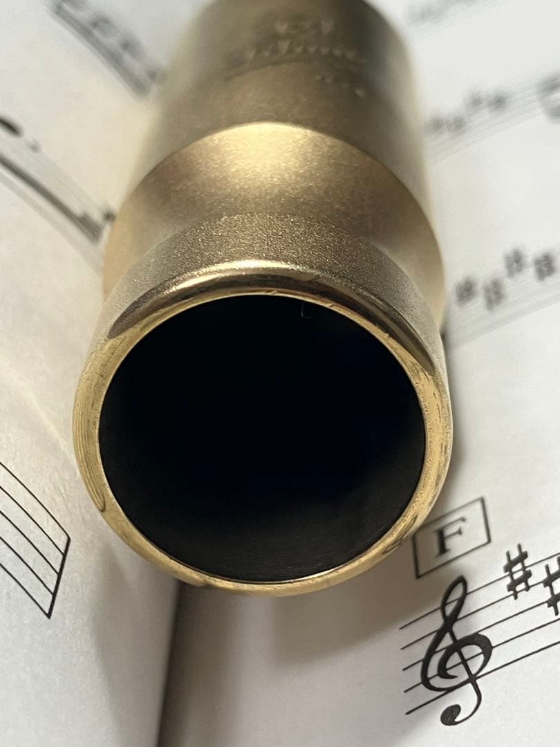 TED KLUM contemporary Alto sax 6　テッド クラム