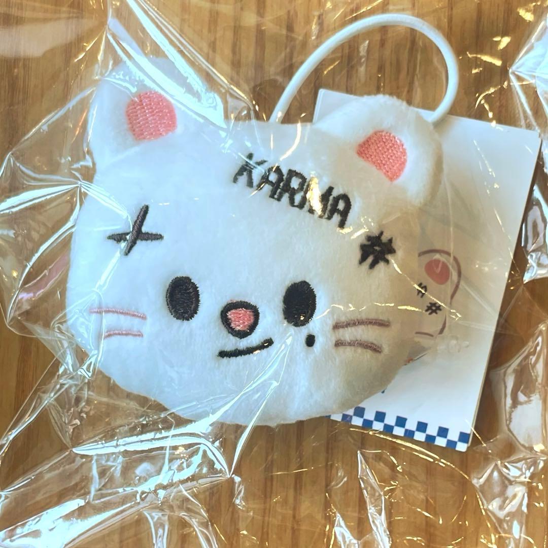 straykids hop 韓国ポップアップ直筆サインヒョンジンぬいぐるみ