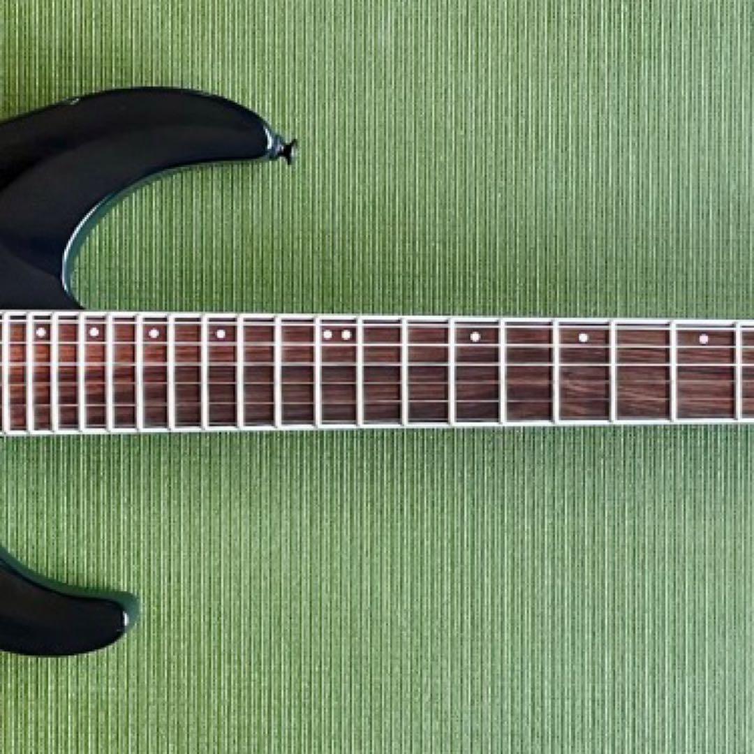 HORIZON GrassRoots by ESP セットネック