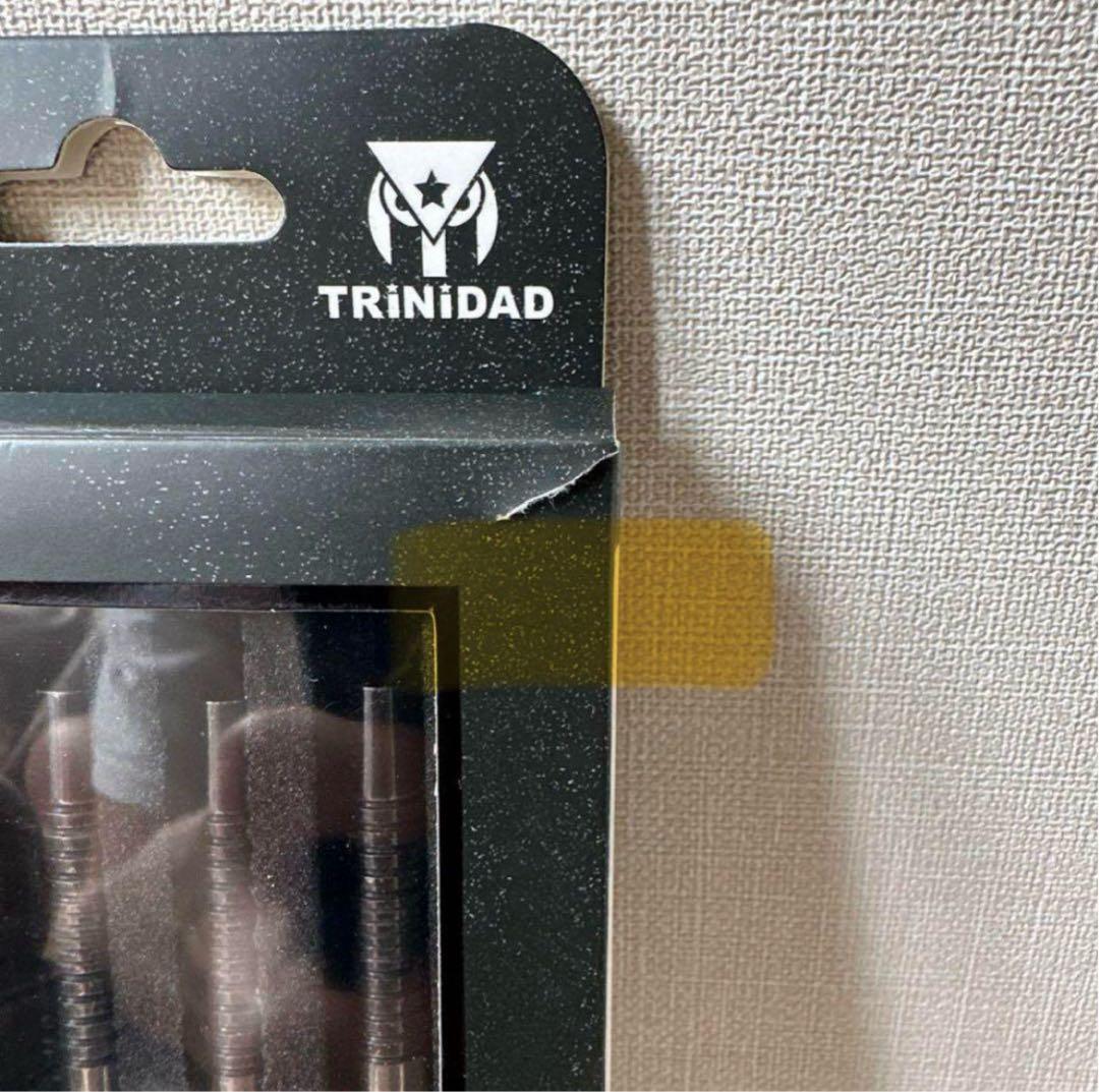 TRINIDAD 「LAZY」 松吉輝宗モデル　ソフトダーツモデル