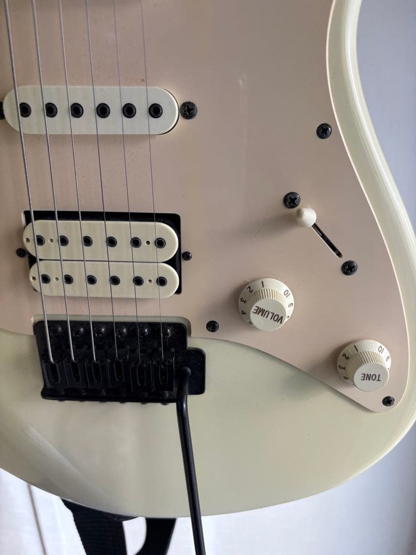 ⭐️希少⭐️ Aria Pro II（アリアプロII）　Black Dog