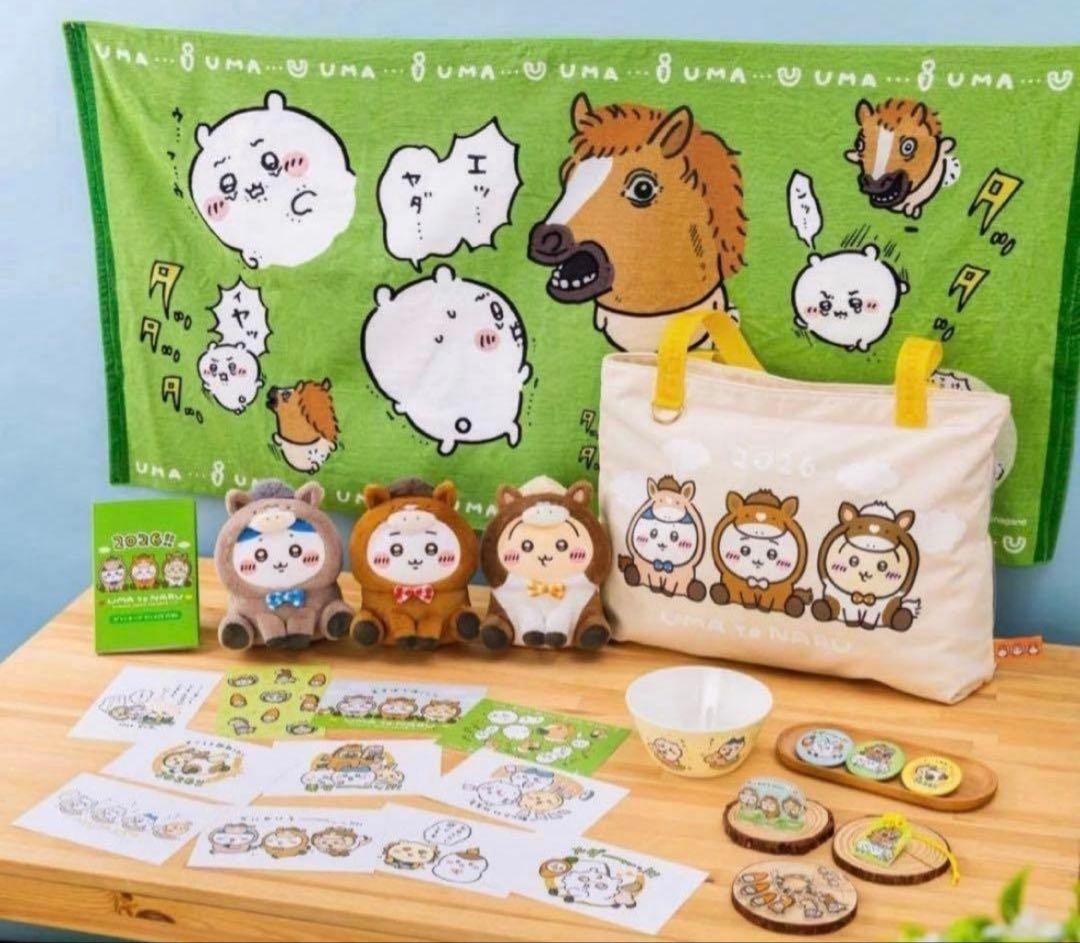 ハイキュー!! A4クリアファイル CD 「LEO」 アニメイト購入特典