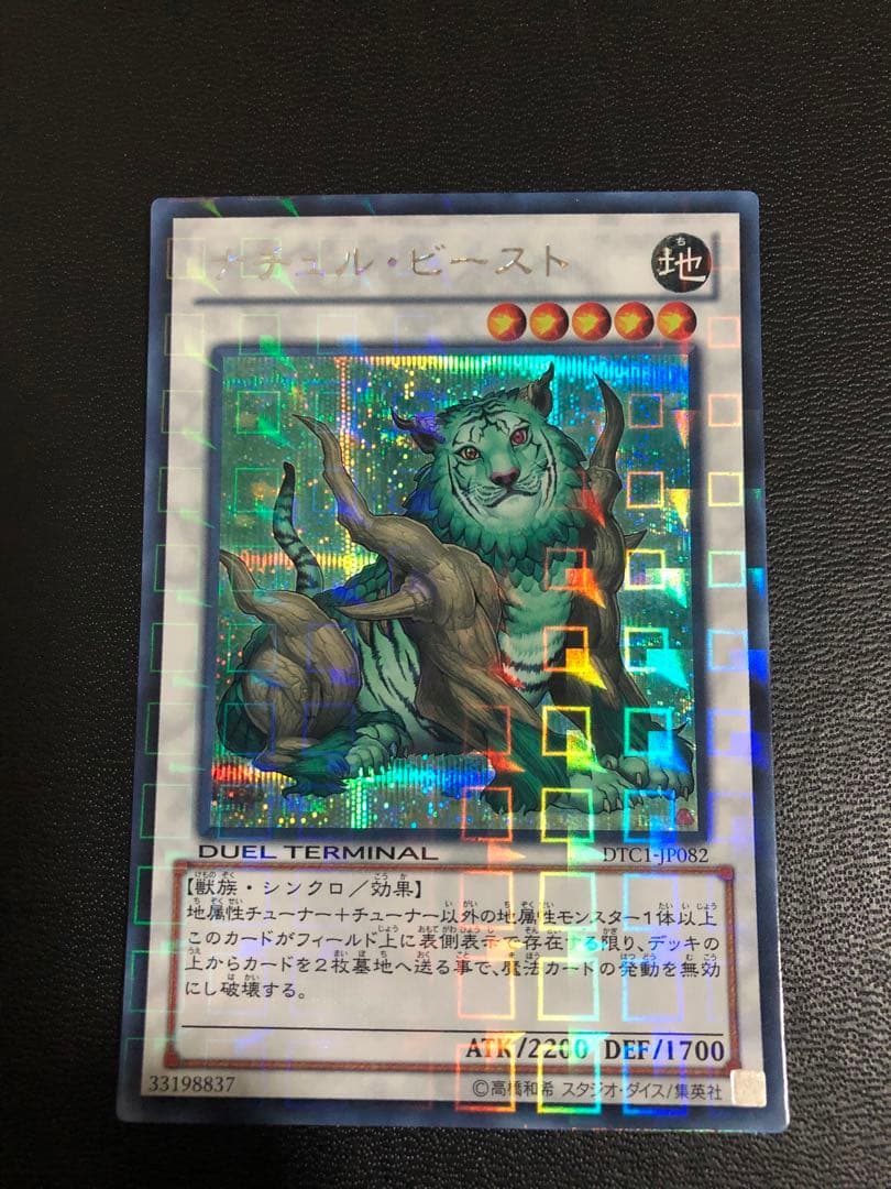 ナチュルビースト DTC シークレット 遊戯王 ナチュル