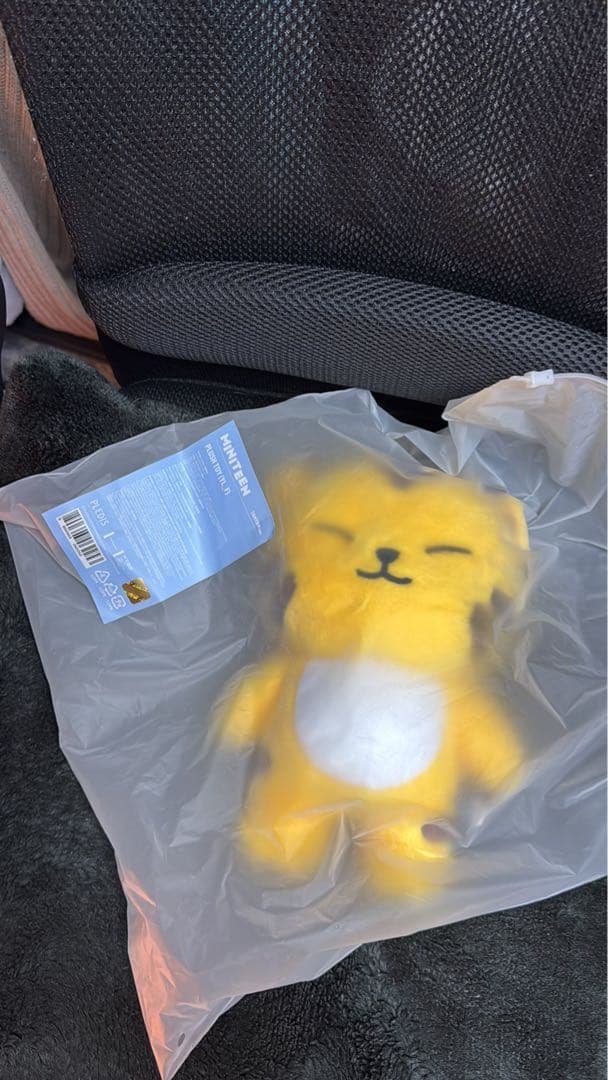 MINITEEN ホシ ぬいぐるみ タムタム ミニティーン