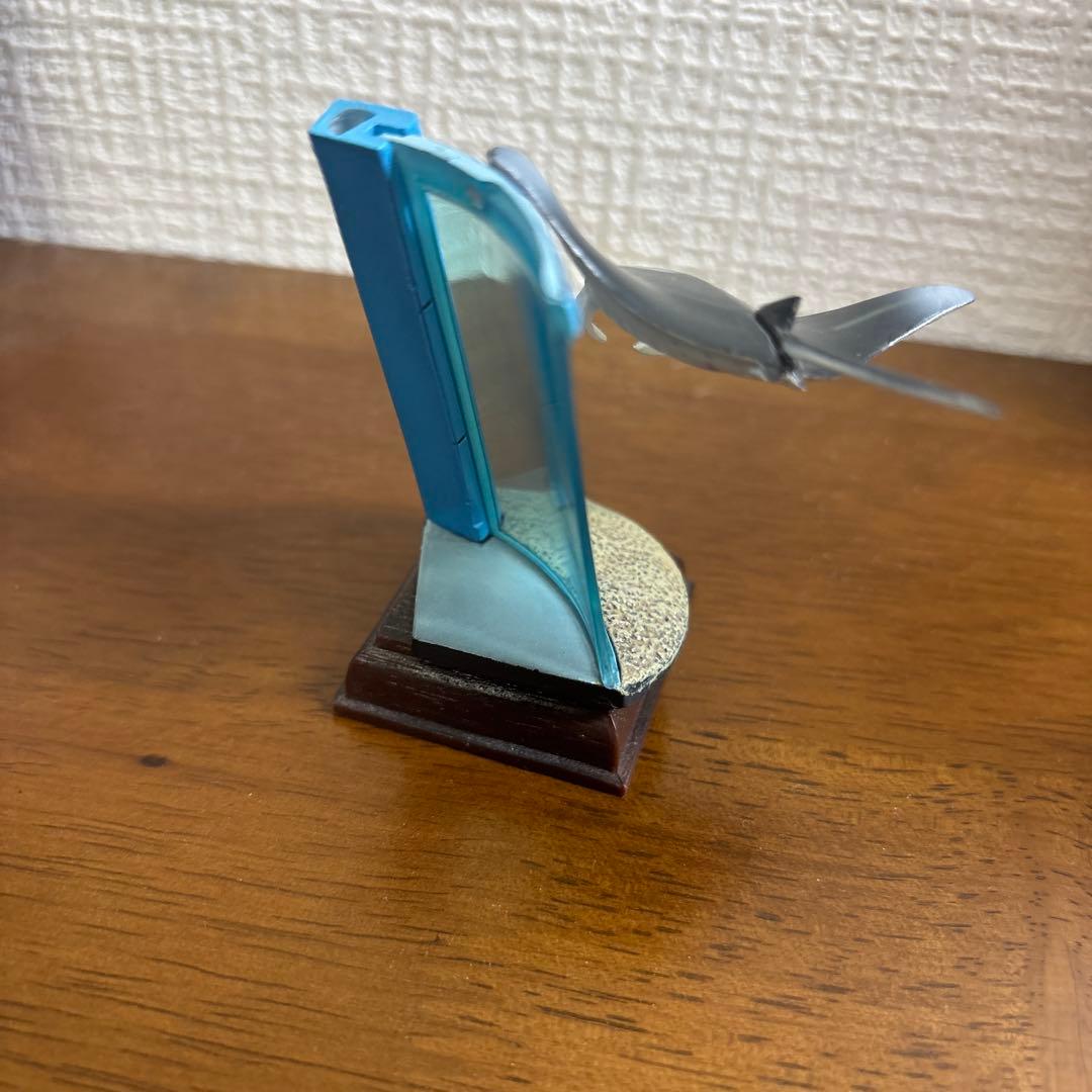 ネイチャーテクニカラー　海遊館　オニエイトマキエイ