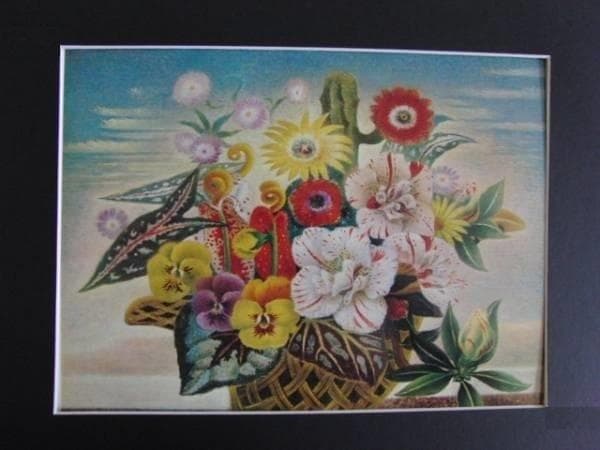 原産国不明亀甲髑髏装飾面