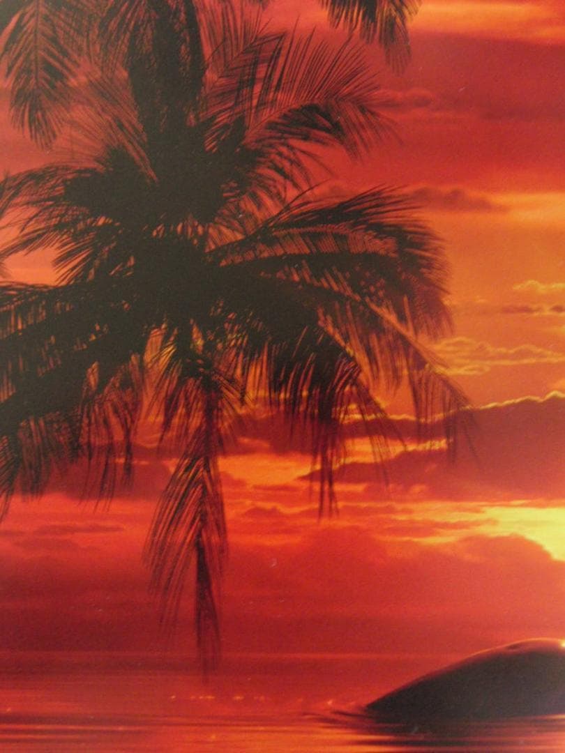 クリスチャン・ラッセン、【エンドレス パッション】、希少な額装用