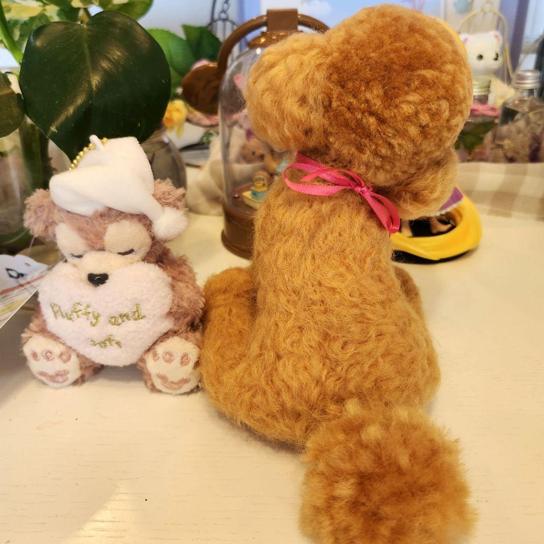 お迎え決まりました♥️トイプードル❤️羊毛フェルト