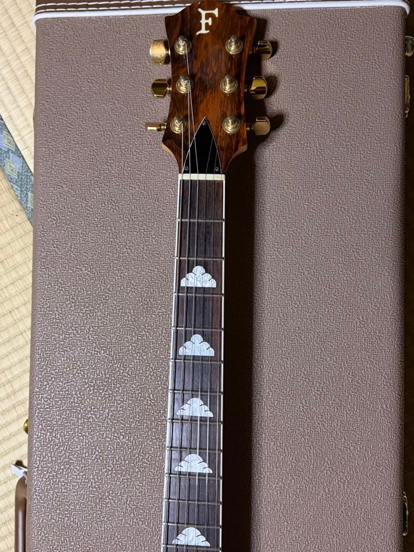ギター hide MG80X FERNANDES
