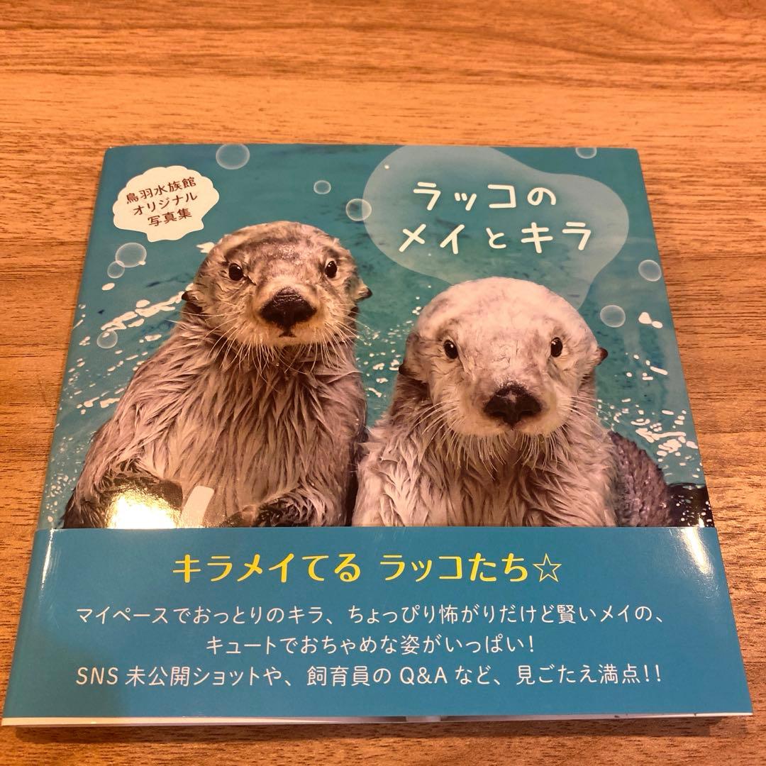 鳥羽水族館 ラッコのメイとキラ 写真集