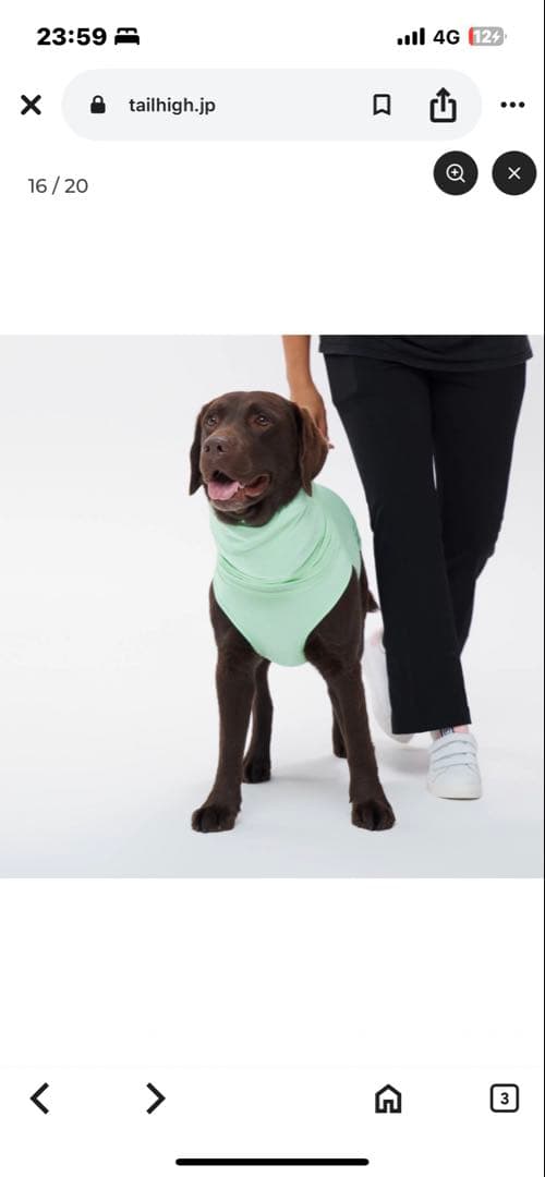 TAIL HIGH GO2 COOLING GUARD TOP Mサイズグリーン TAILHIGH