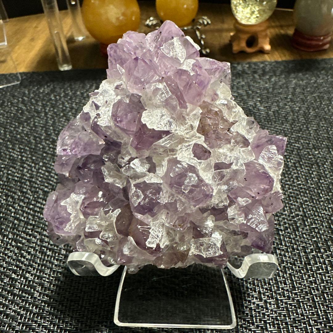 psa10 ヴァイス プロセカ 箔押しサイン 導きの手 SSP KAITO-人気特売