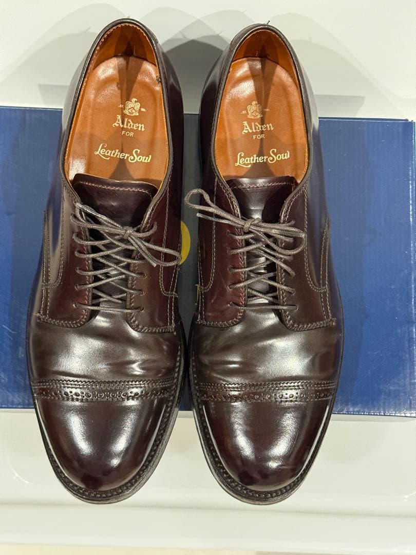 Aldenパンチドキャップトゥ 8.5D