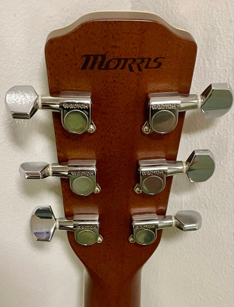 極鳴り❗️MORRIS MF601❗️希少材ハカランダアコギ❗️ モーリス