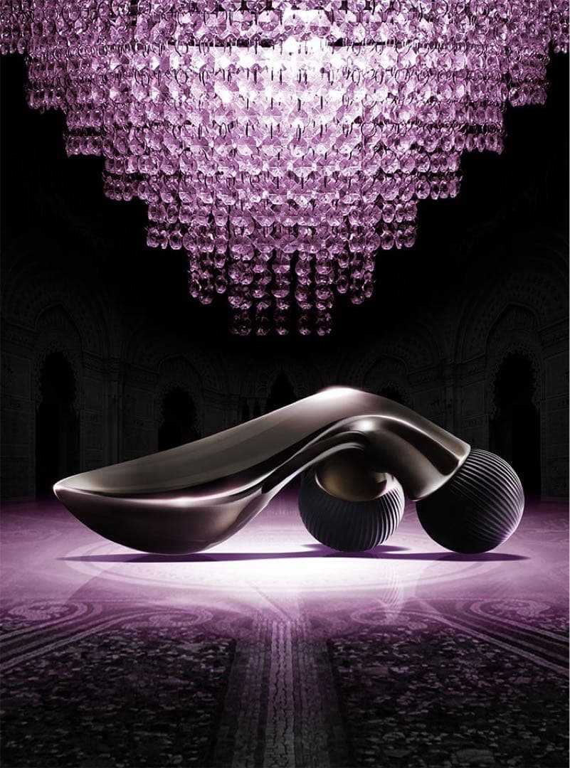 インディバ エレクトロードホルダー付コード RESとCPA ➕CPA80mm