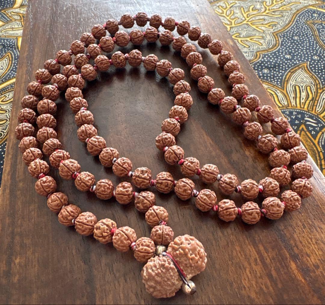 ルドラクシャマーラー トップガウリシャンカール12ムキ ルドラクシャ