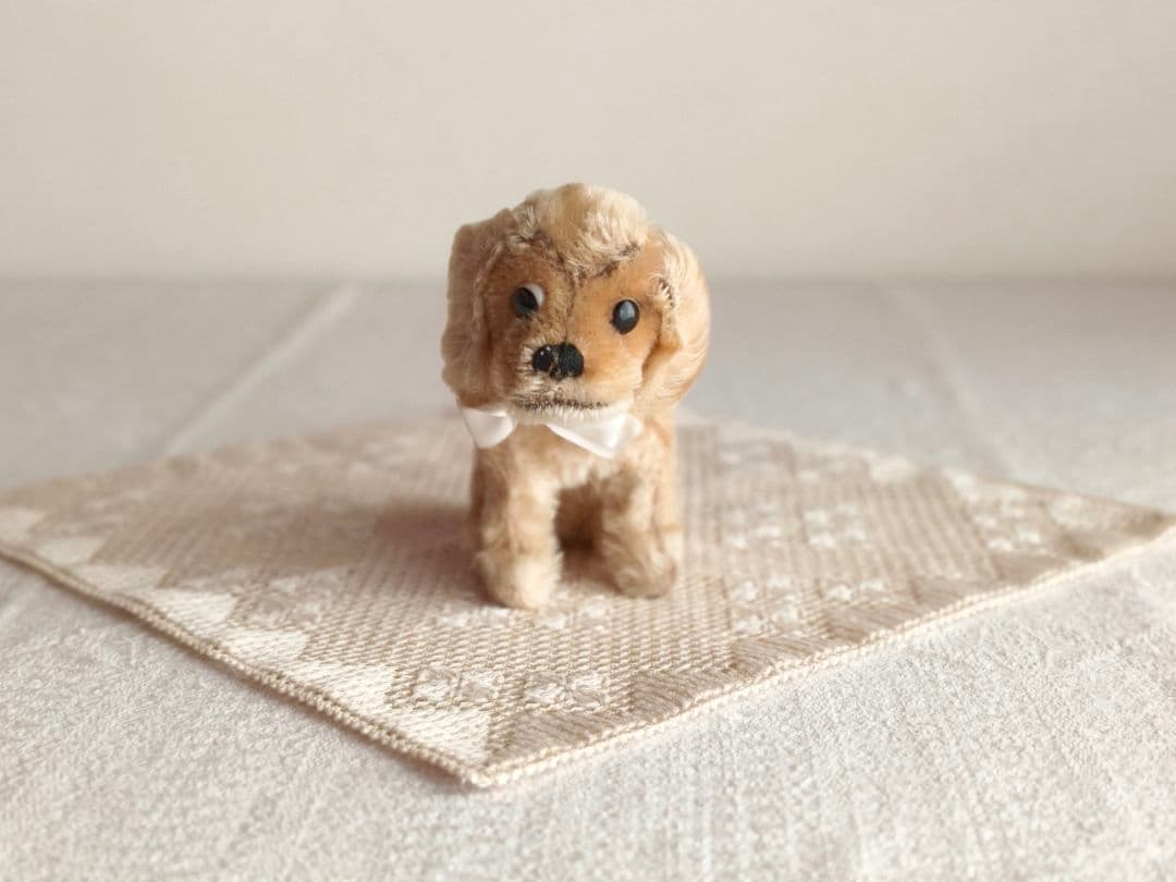 * vintage dogl ❀ きょとんとしたお顔が 可愛い ワンちゃん