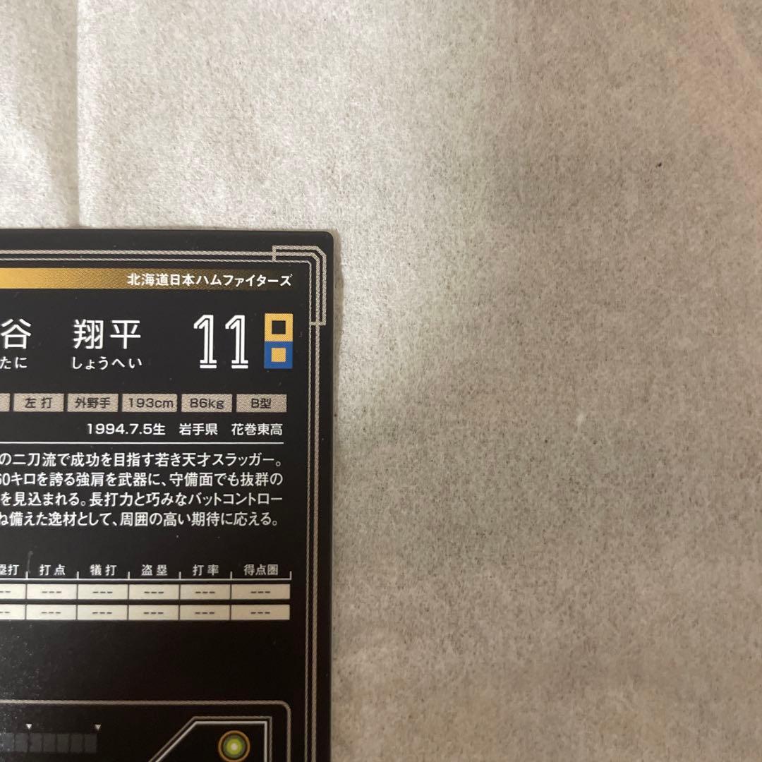 大谷翔平 ファイターズ オーナーズリーグ カード 11