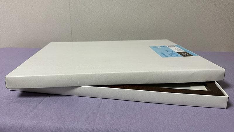 鉛筆アート「アビシニアン」オリジナル、真筆、1点物