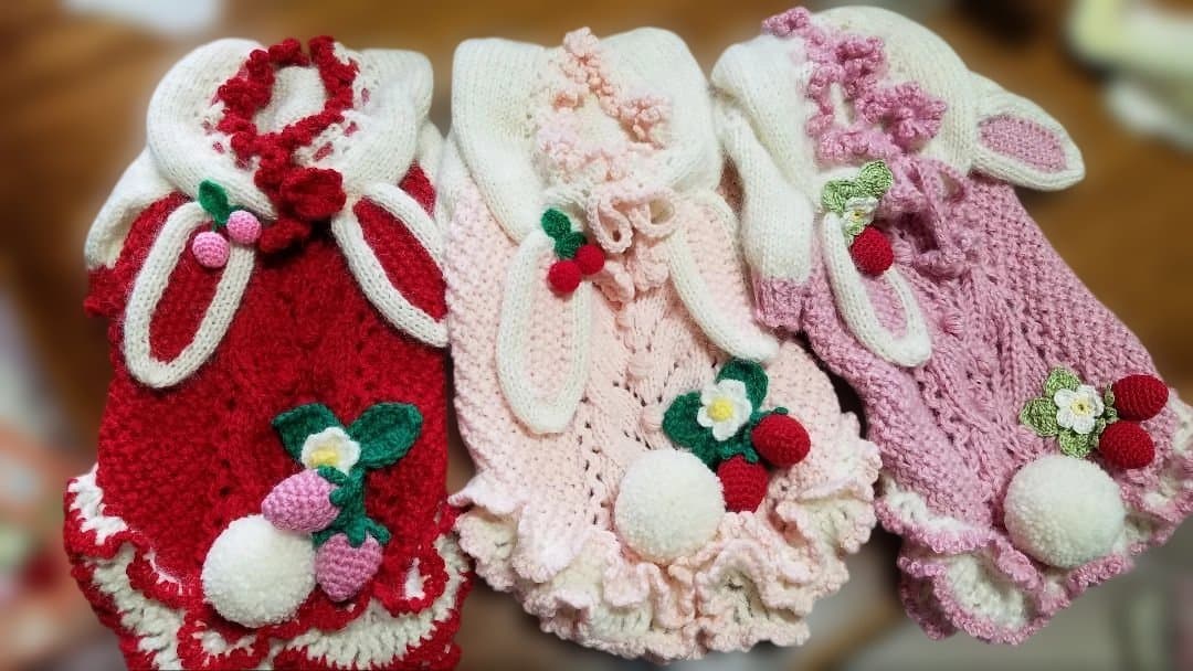 犬服♪手編み♪3名様オーダー受付終了致しましたm(__)m - メルカリ