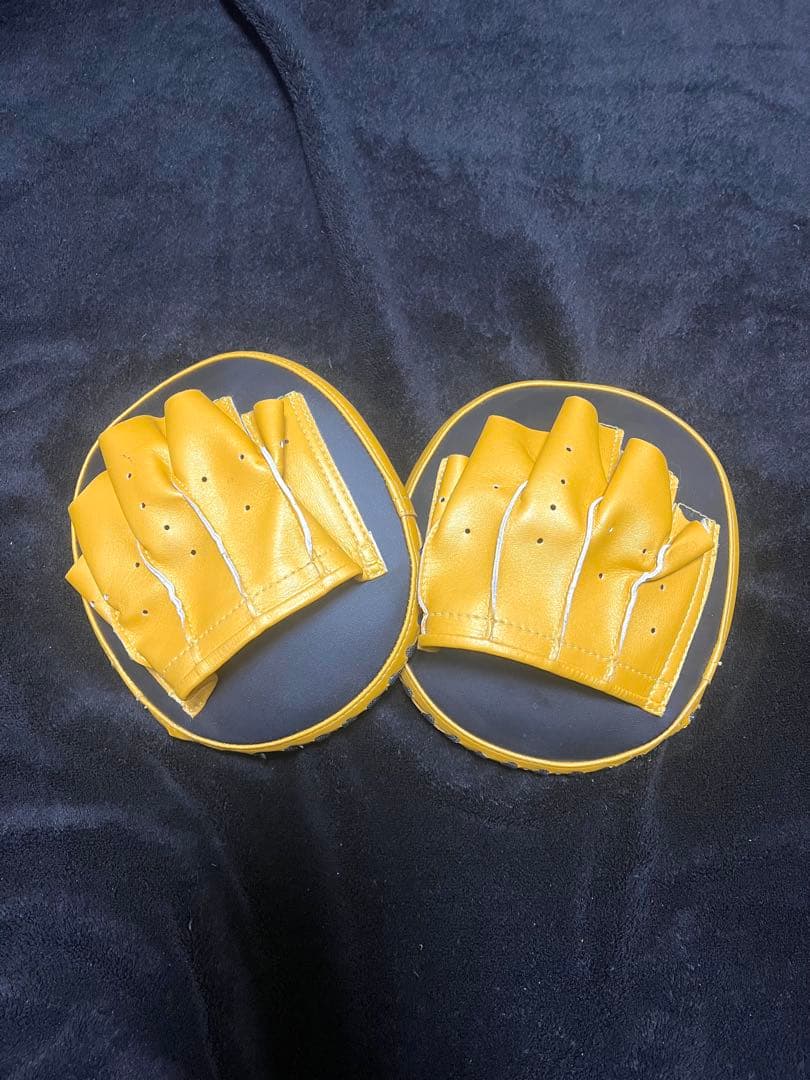 Fairtex パンチングミット 黒/黄 Fairtex パンチングミット 黒/黄