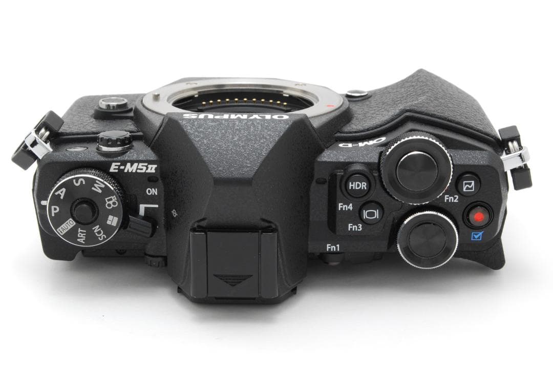 美品・500ショット】OLYMPUS OM-D E-M5 MarkII ボディ