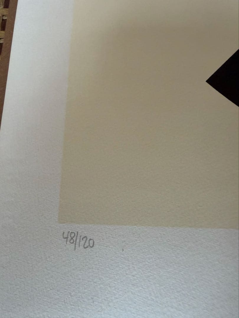 Vernon Pantan 抽象的グラフィック 限定品