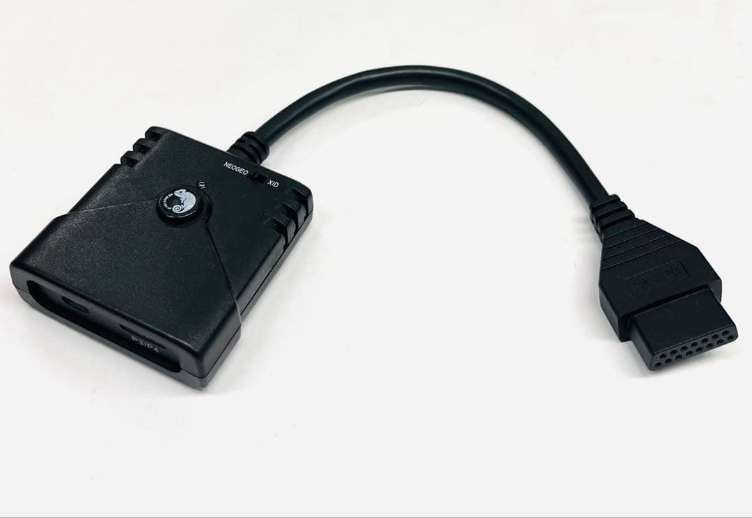 Glass Beetle｜ヤマトカブトムシ飛翔＆固定標本 ペアGB-008】