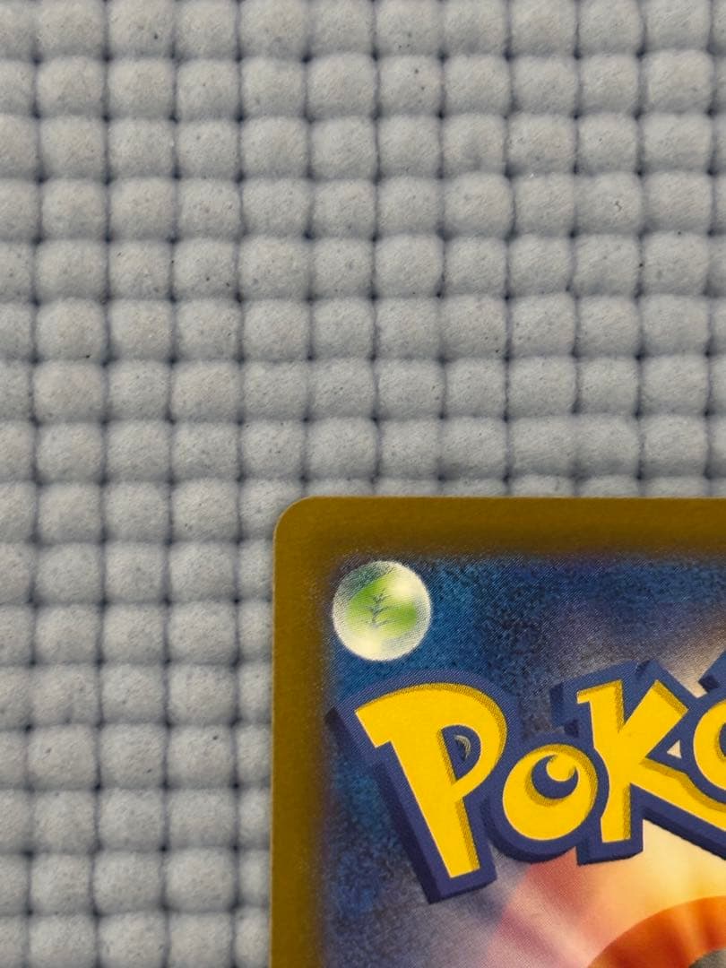 つ*た様 メガカイリューex SAR