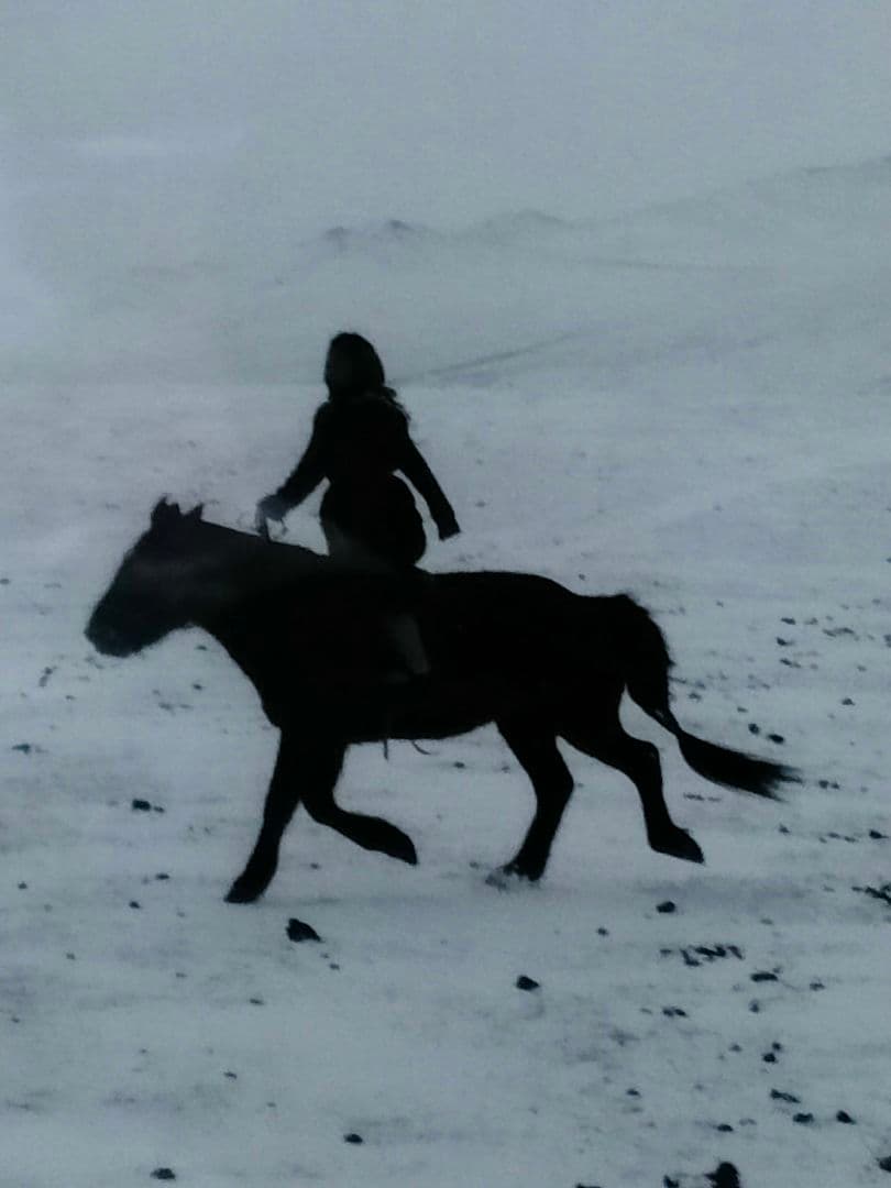 Sale!! 椎名 誠　オリジナルプリント 半切 フレーム 額装