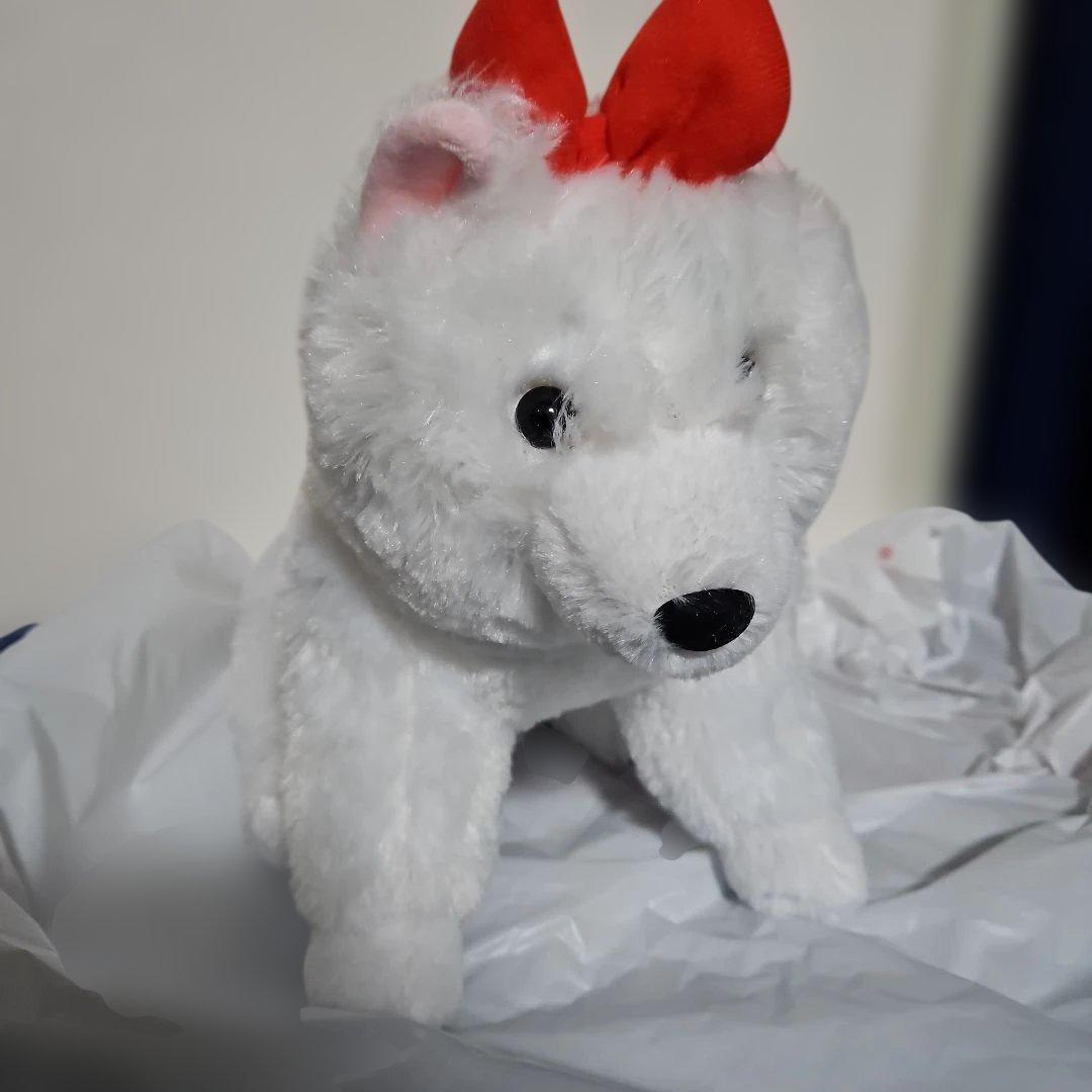 くったりサモエドくんぬいぐるみ JB セット - メルカリ