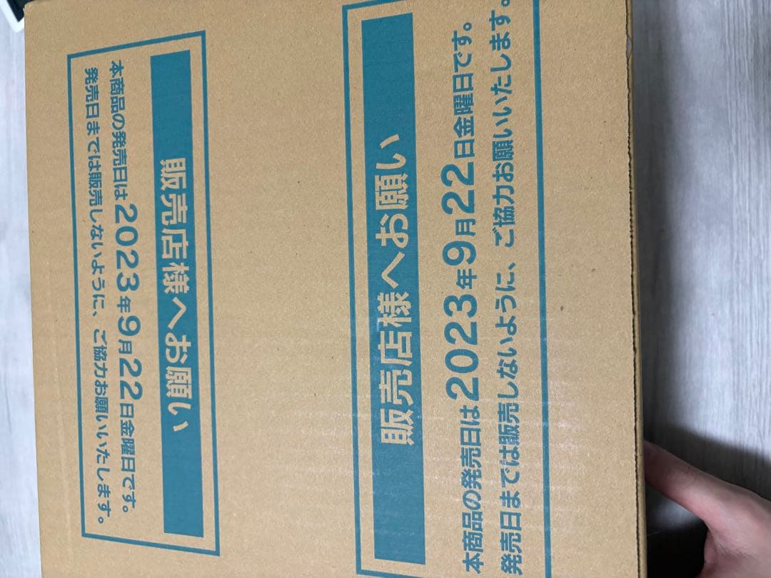 ポケモンカードゲーム レイジングサーフ カートン 新品未開封